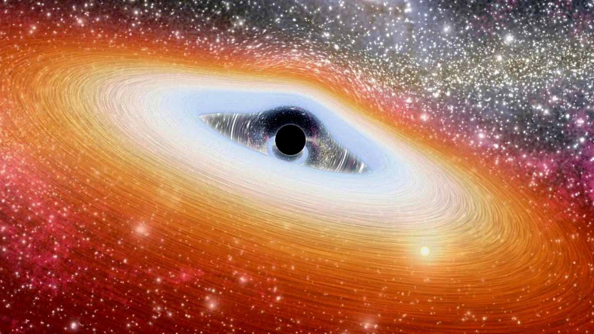 Black Holes