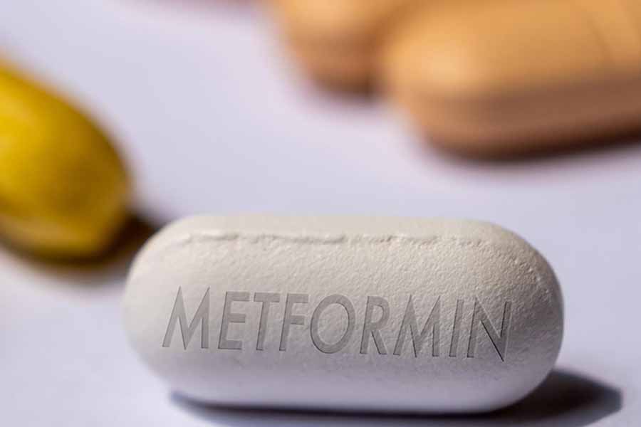 metformin brain pathway