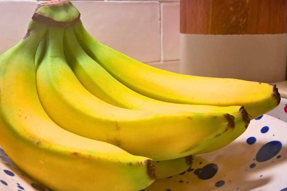 bananas