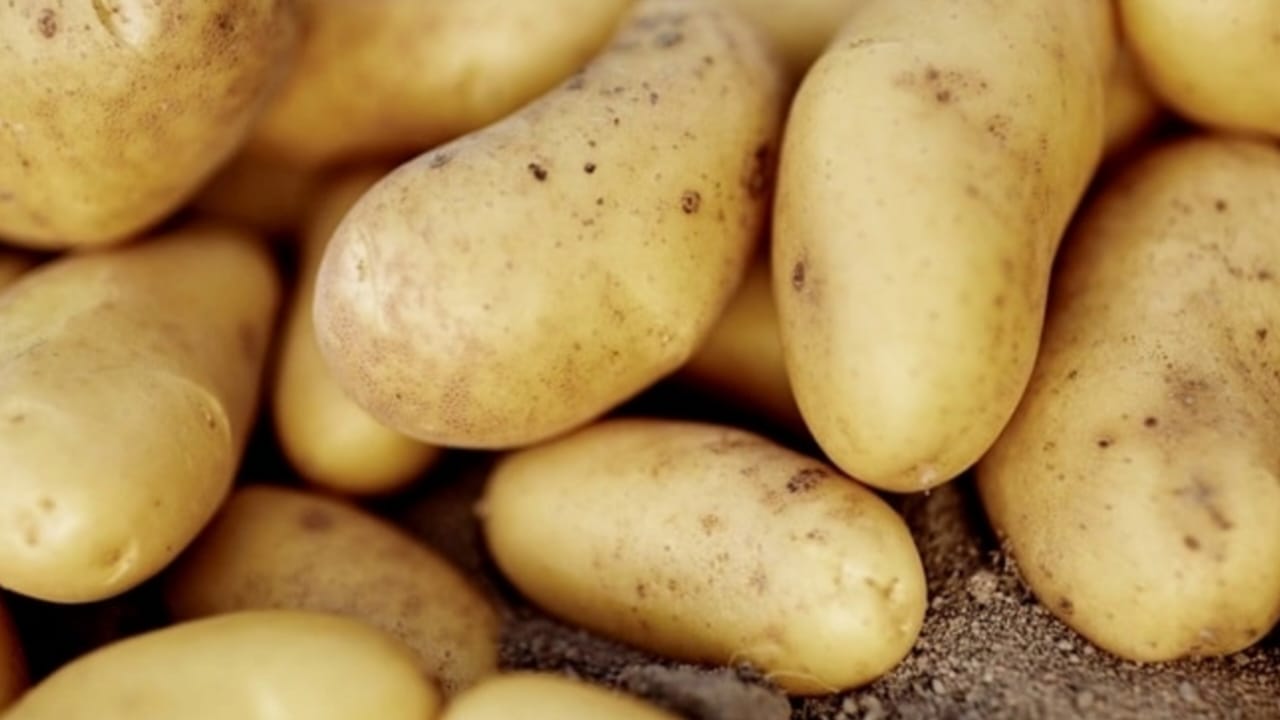 potatoes