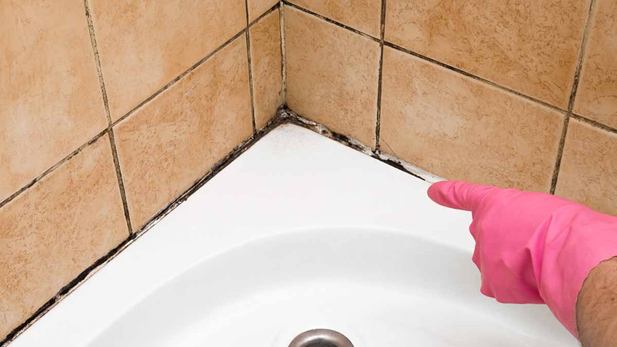 remove mold from shower